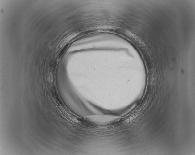 X0000060551169200512011609