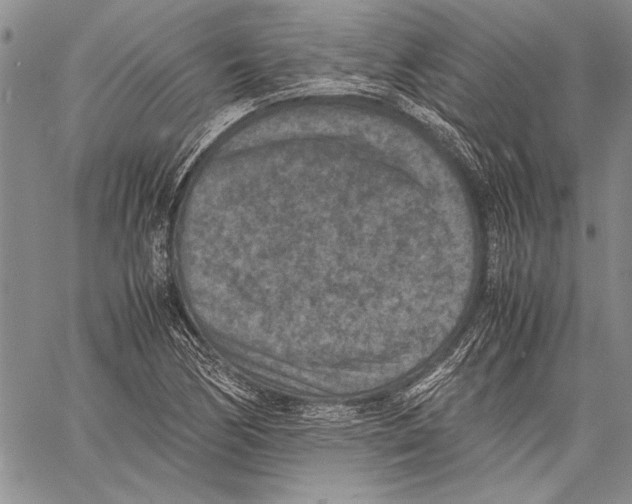 X0000060551170200512011609