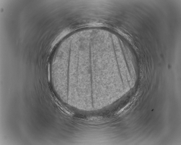 X0000060551171200512011609