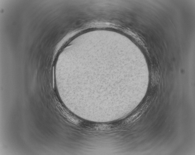 X0000060551175200512011608