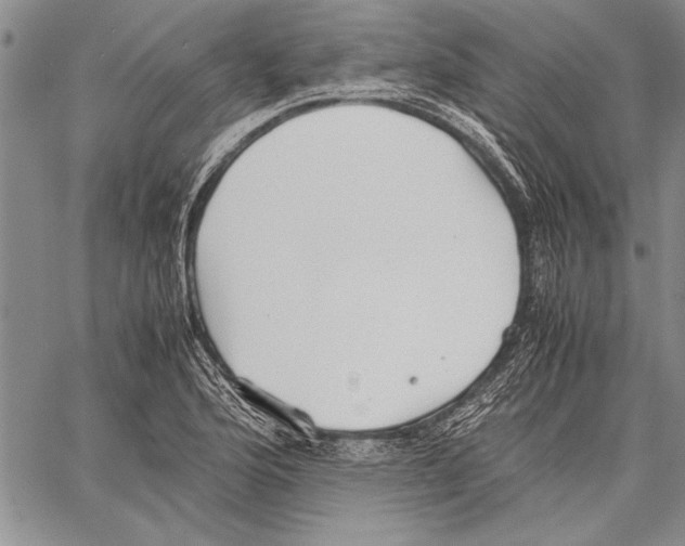 X0000060551176200512011608