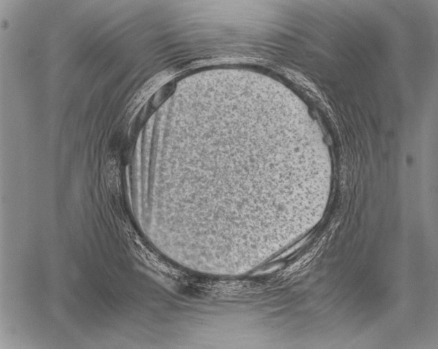 X0000060551177200512011608