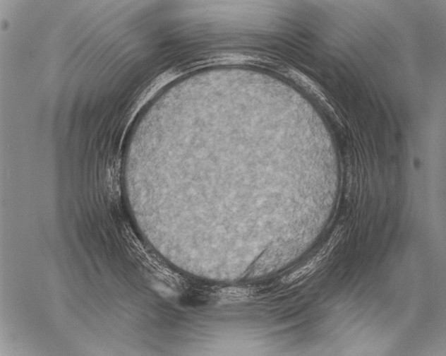 X0000060551178200512011608