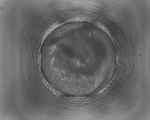 X0000060551179200512011608