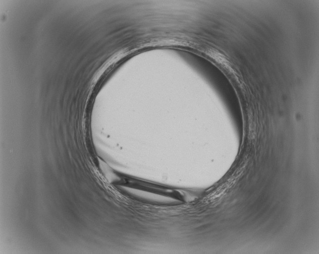 X0000060551181200512011608