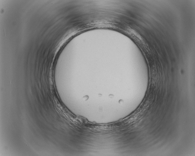 X0000060551182200512011608