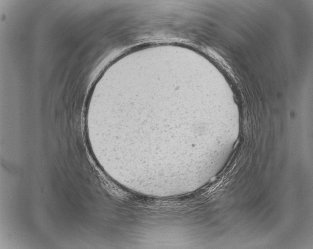 X0000060551183200512011608