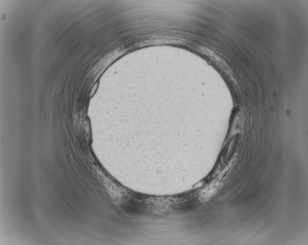 X0000060551185200512011608