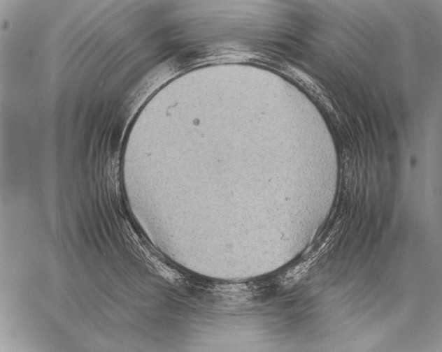 X0000060551186200512011608