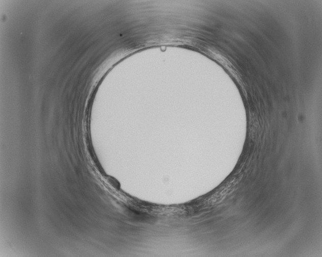 X0000060551187200512011608