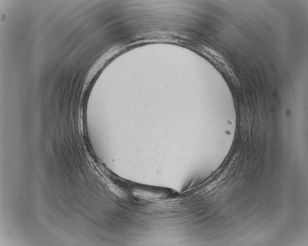 X0000060551188200512011608