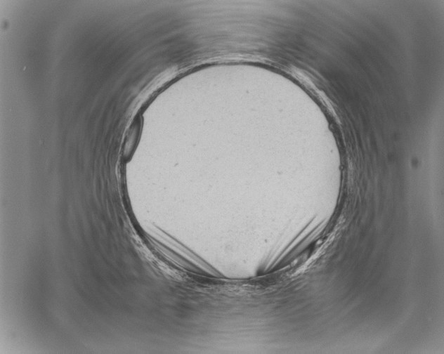 X0000060551189200512011608