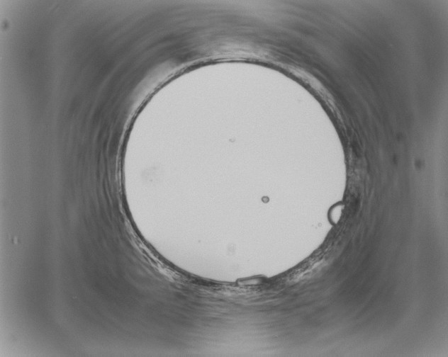 X0000060551191200512011608