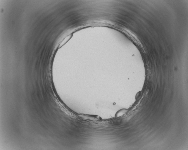 X0000060551192200512011608