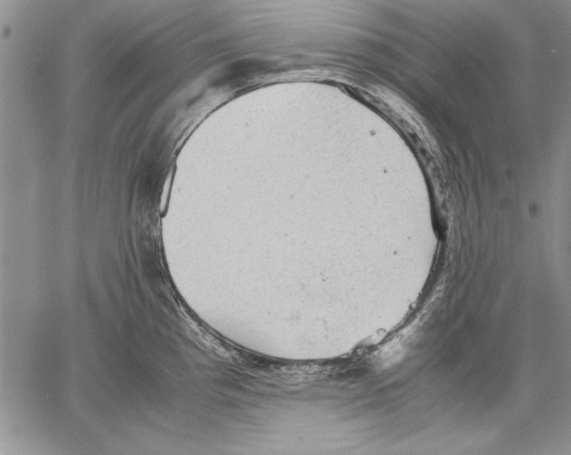 X0000060551193200512011608