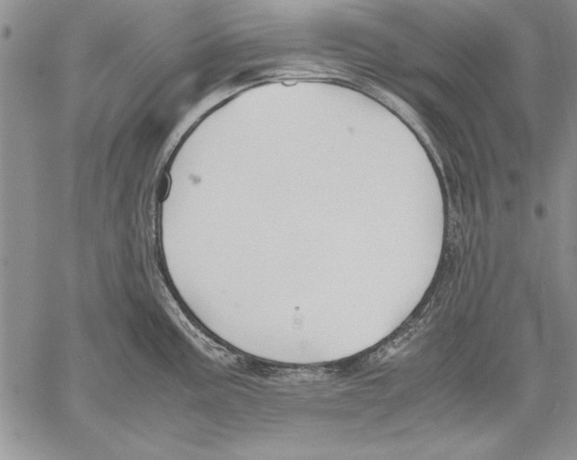 X0000060551195200512011608