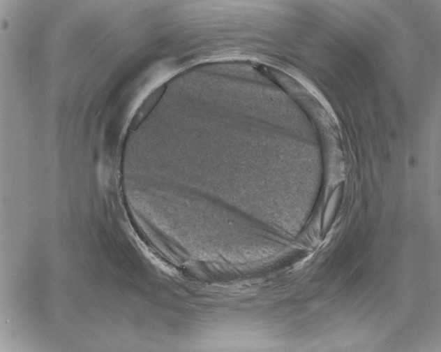 X0000060551197200512011608