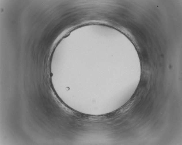 X0000060551199200512011608