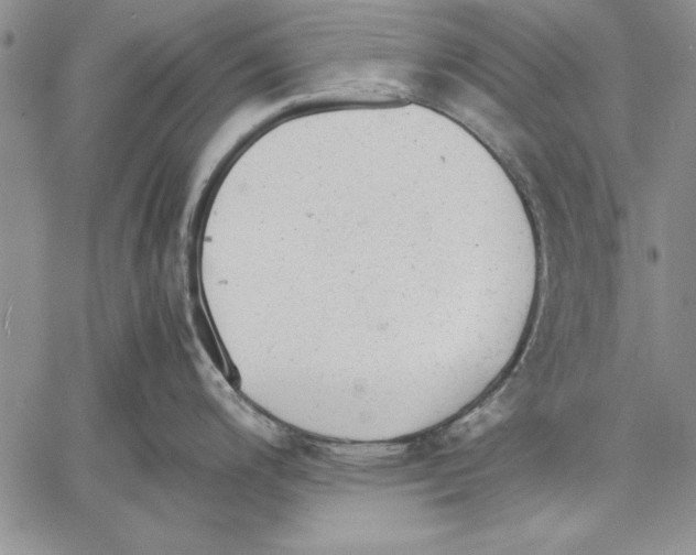 X0000060551200200512011608