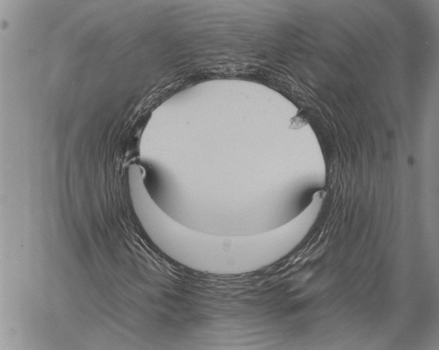 X0000060551202200512011607