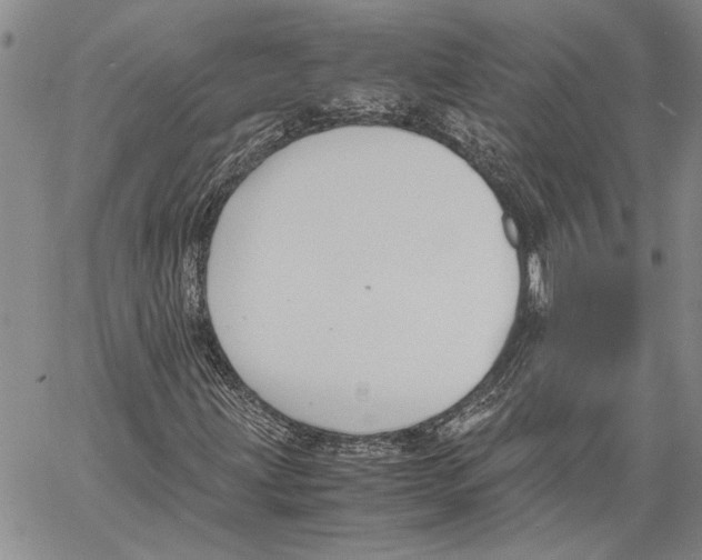 X0000060551203200512011607