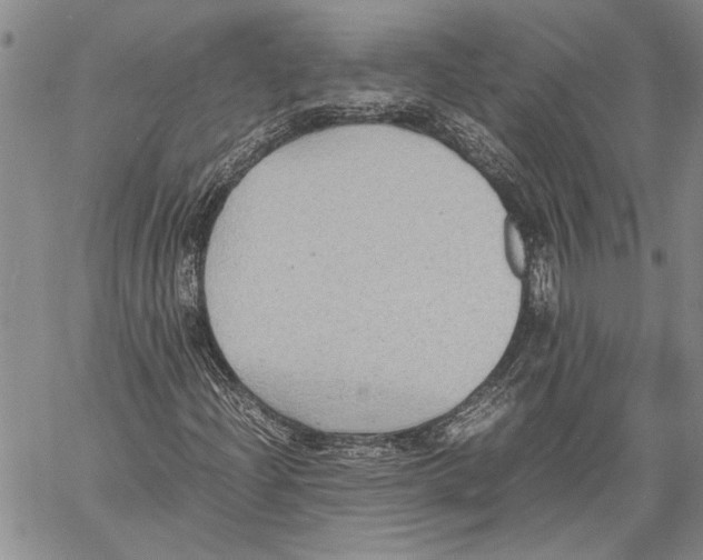 X0000060551204200512011607