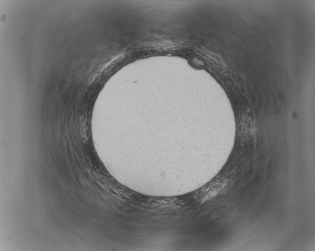 X0000060551205200512011607