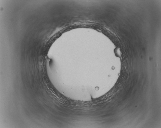 X0000060551206200512011607