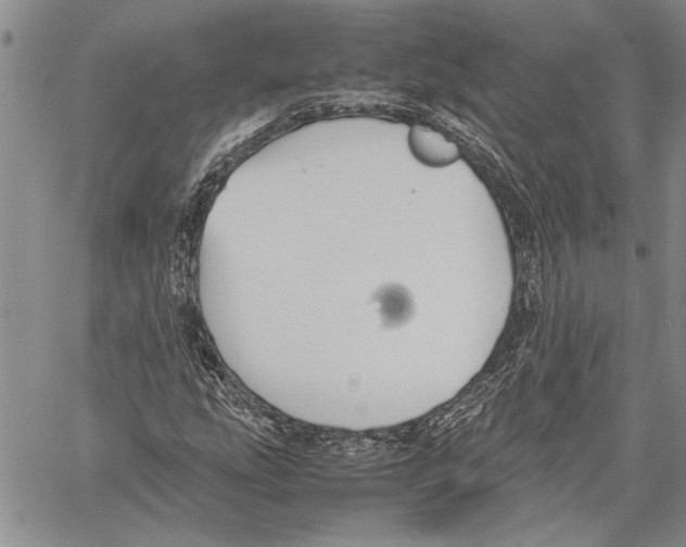 X0000060551207200512011607