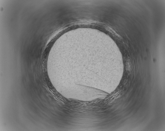 X0000060551208200512011607