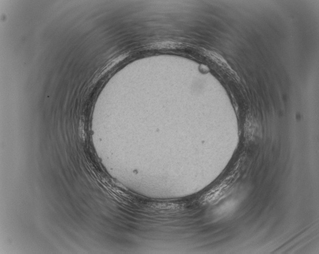 X0000060551209200512011607