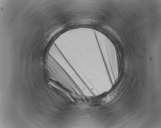 X0000060551210200512011607