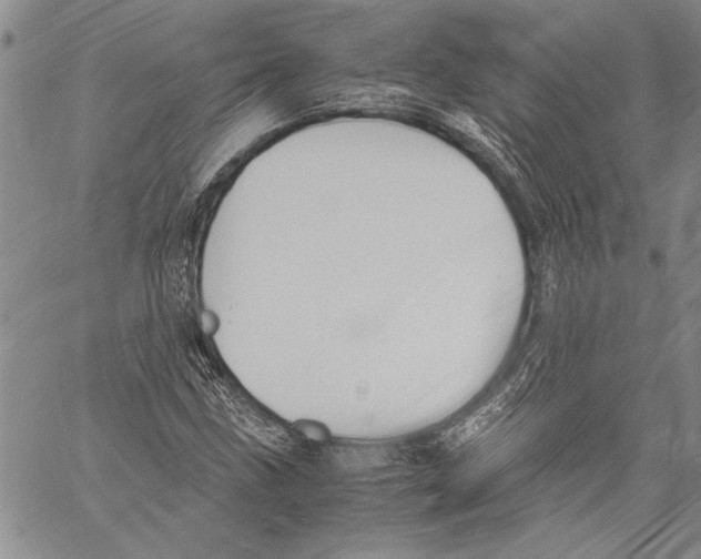 X0000060551211200512011607