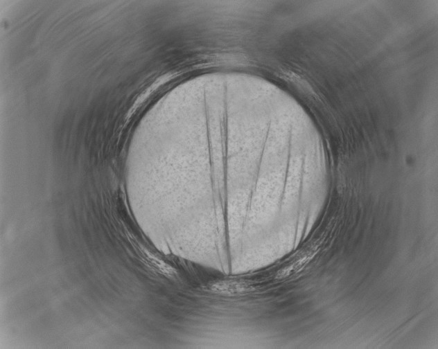 X0000060551212200512011607