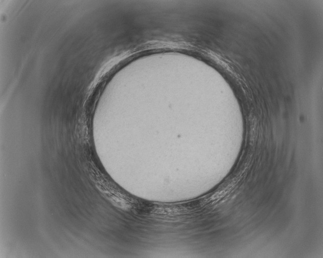 X0000060551215200512011607