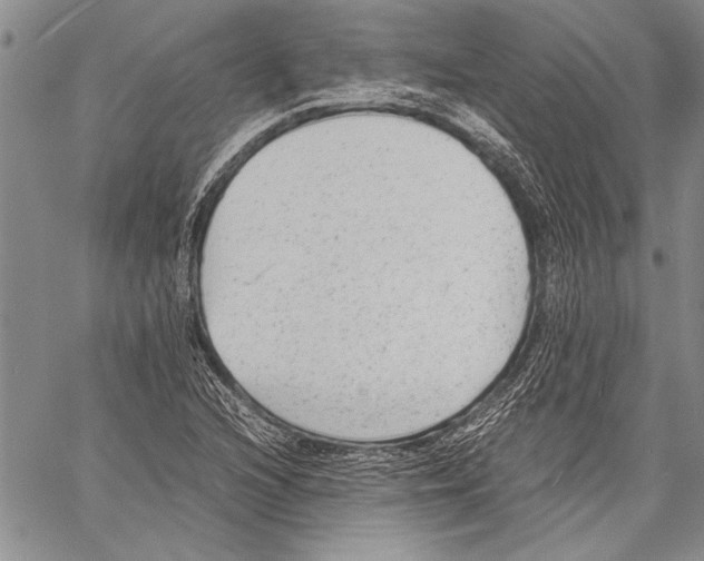 X0000060551216200512011607