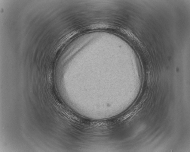 X0000060551217200512011608