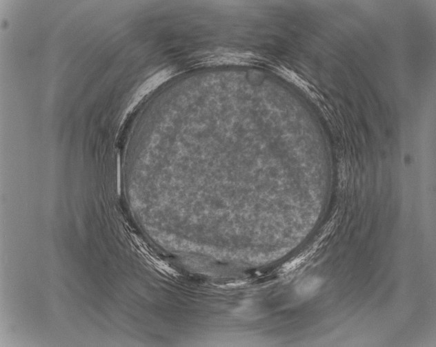 X0000060551219200512011608