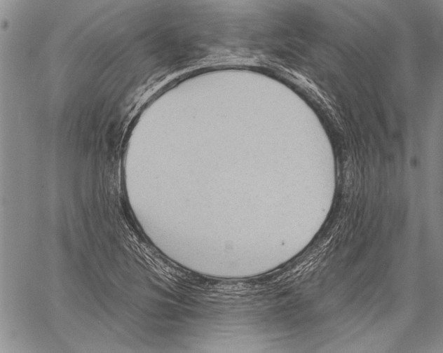 X0000060551220200512011608