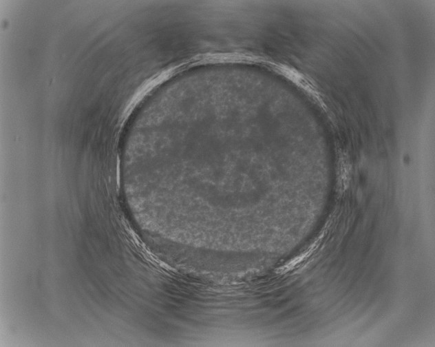 X0000060551221200512011608