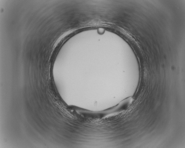 X0000060551222200512011608