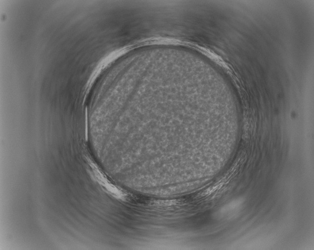 X0000060551223200512011608