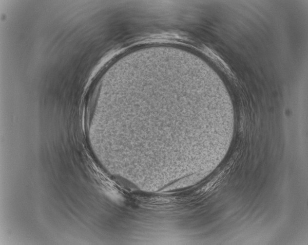 X0000060551224200512011608