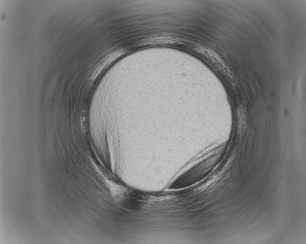 X0000060551225200512011608