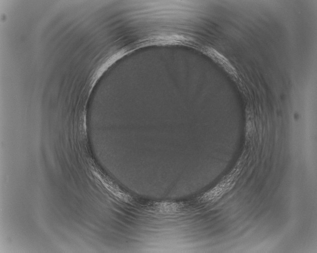 X0000060551226200512011608