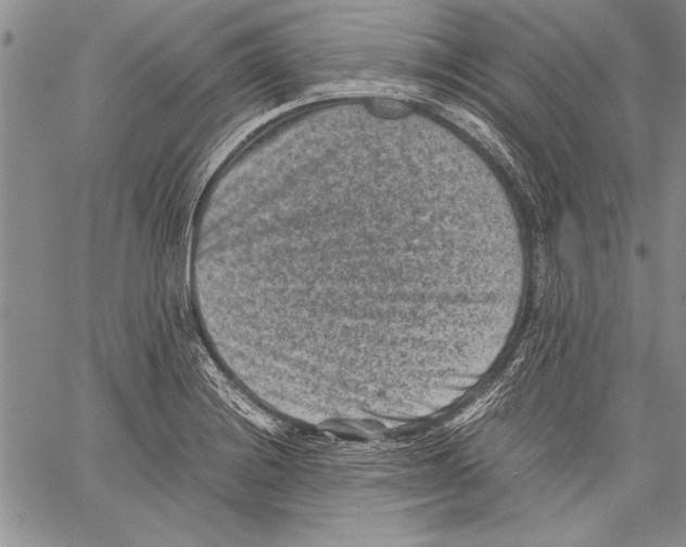 X0000060551228200512011608