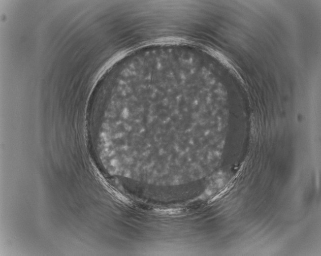 X0000060551229200512011608