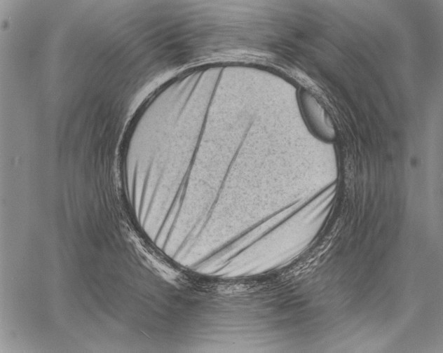 X0000060551230200512011608