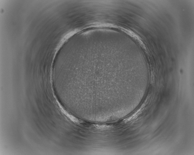 X0000060551231200512011608