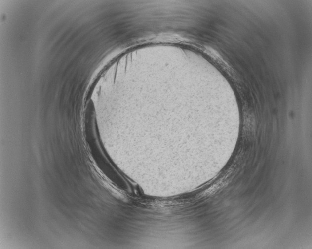 X0000060551232200512011608